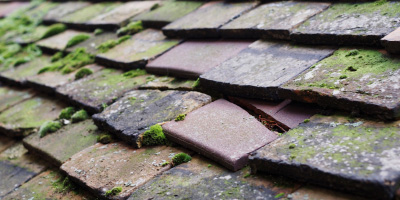 Arrington roof repair costs